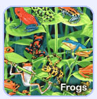 frogs sleeping bags