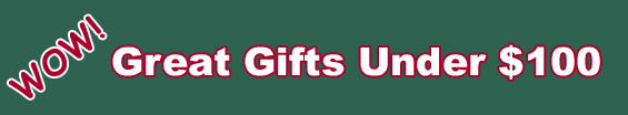 Great Gifts Under $100