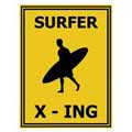 SURFER X - ING