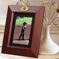 Houston Astros MLB 10" x 8" Brown Vertical Picture Frame