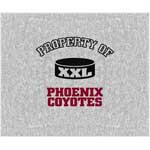 Phoenix Coyotes 58" x 48" "Property Of" Blanket / Throw