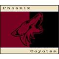 Phoenix Coyotes 60" x 50" All-Star Collection Blanket / Throw